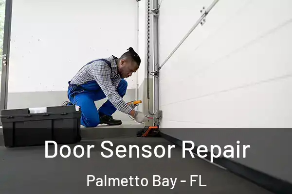 Door Sensor Repair Palmetto Bay - FL